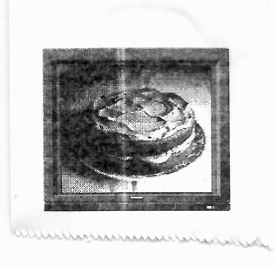 Mr Anderson Morning Coffee Cake