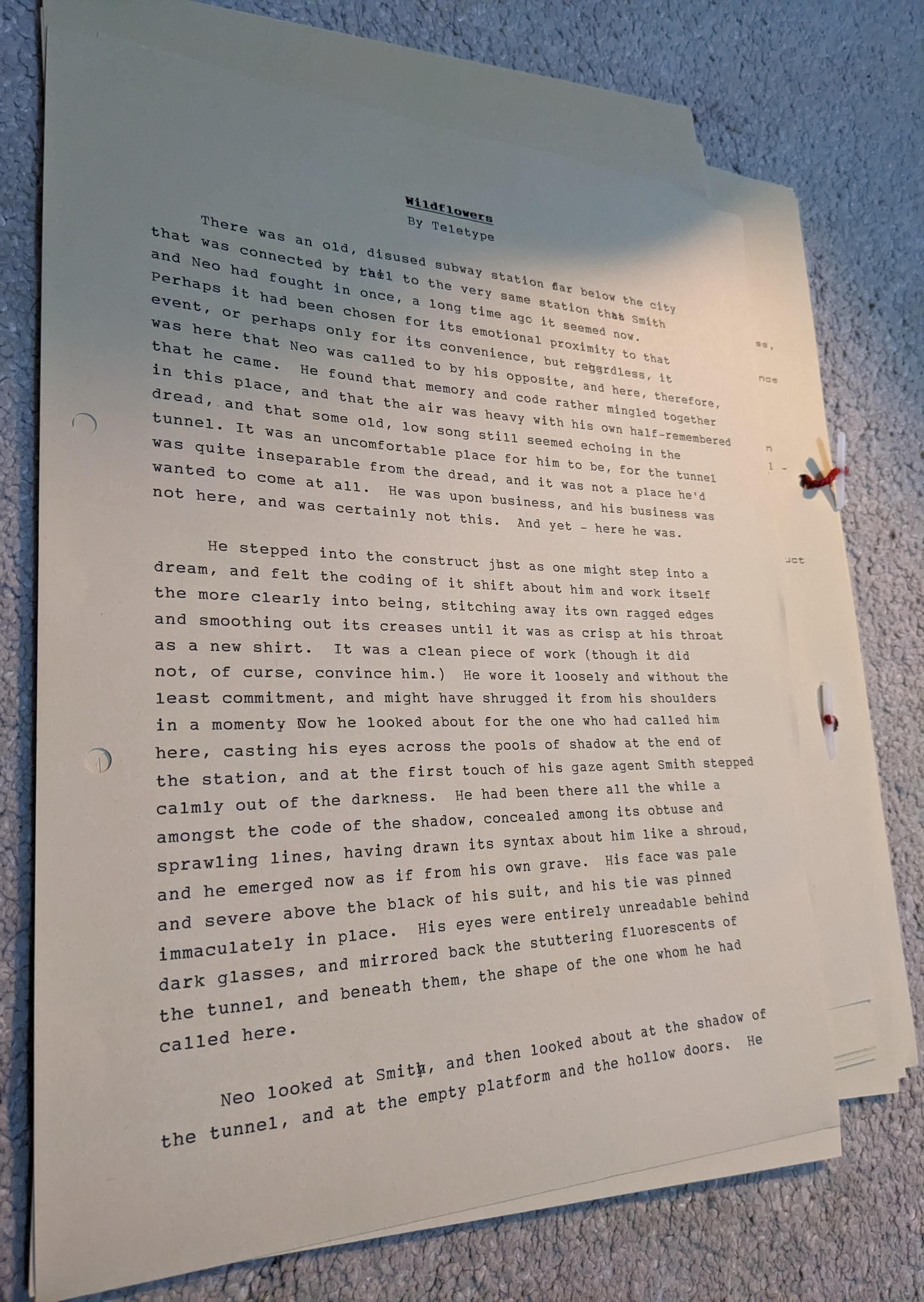 Wildflowers — recovered image 1